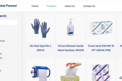 Digital Showroom & B2B Portal